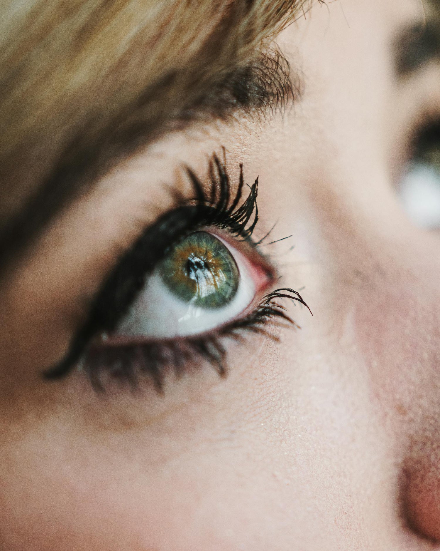 Lashes Out